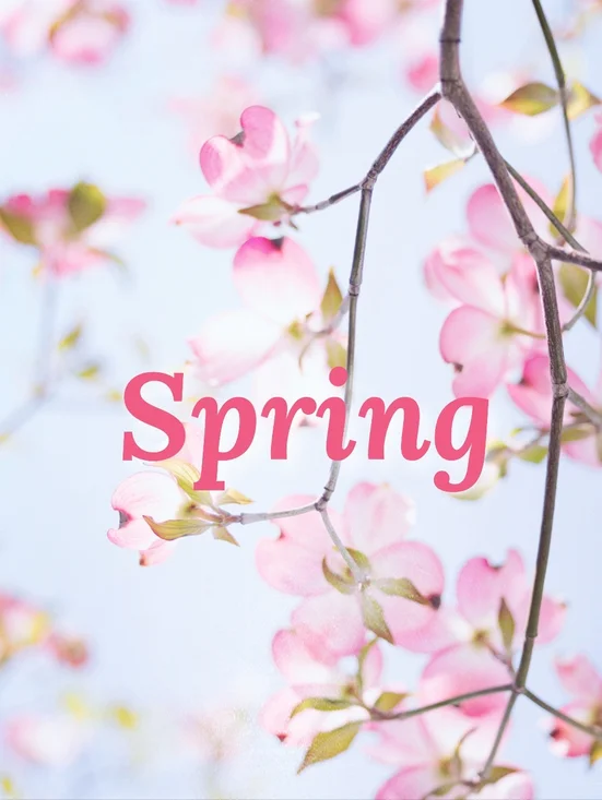 π·πͺΊ Spring πͺΊπ· - Picture 1 of 1